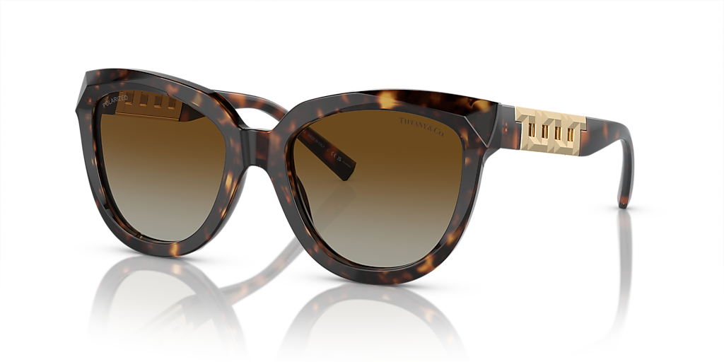 Tiffany TF4215F S (53 19) with Brown lenses and Tortoise