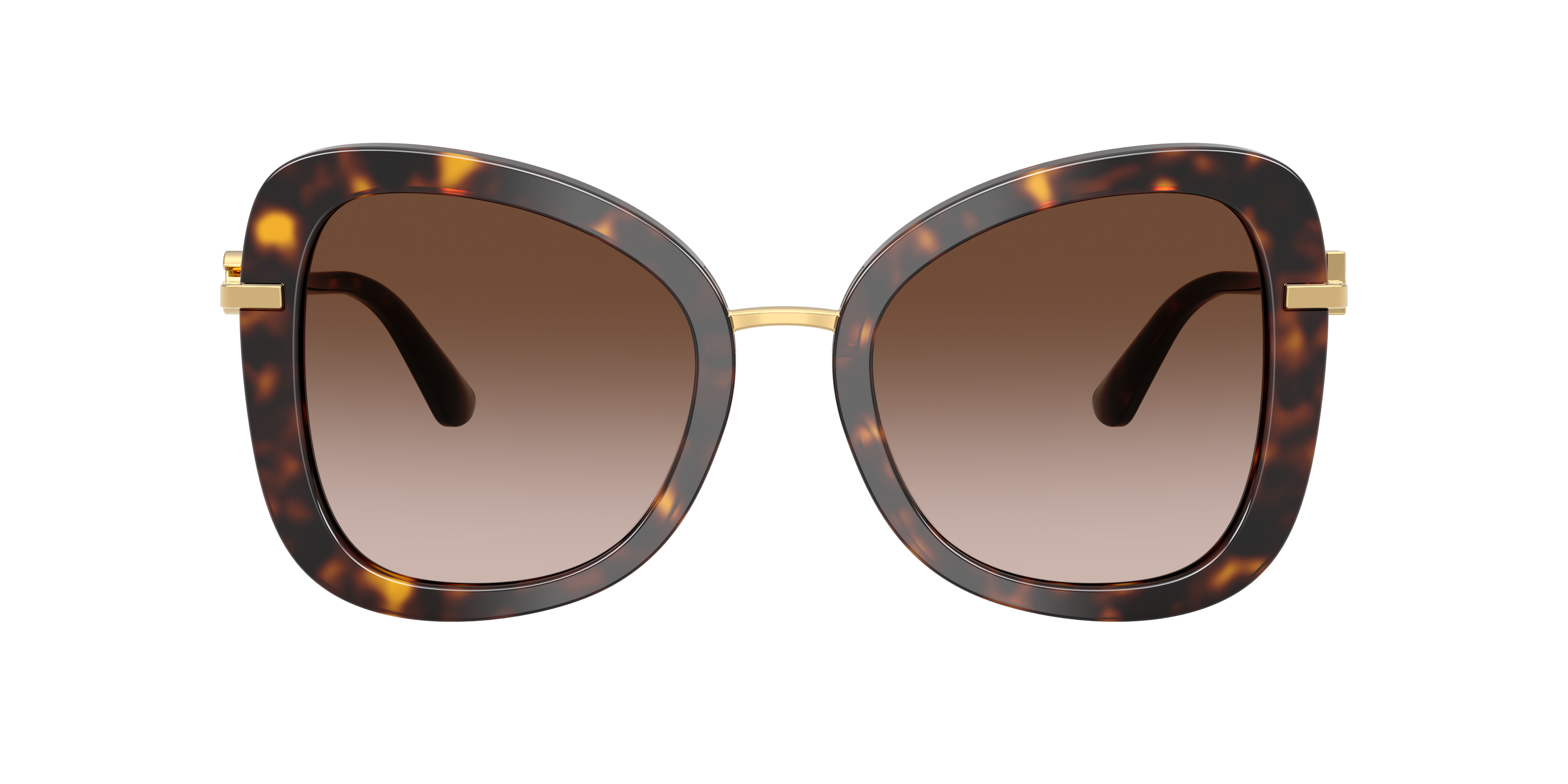 Dolce&Gabbana DG4535 XXL (53 - 21) with Brown lenses and Tortoise