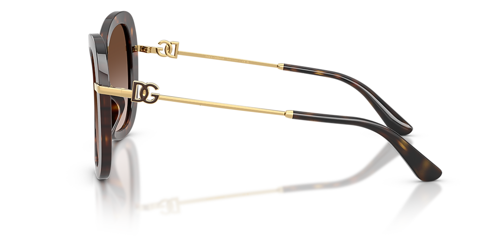 Dolce&Gabbana DG4535 XXL (53 - 21) with Brown lenses and Tortoise