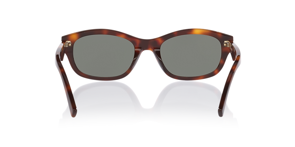 Saint Laurent Sl M172 M (53 - 20) with Grey lenses and Tortoise