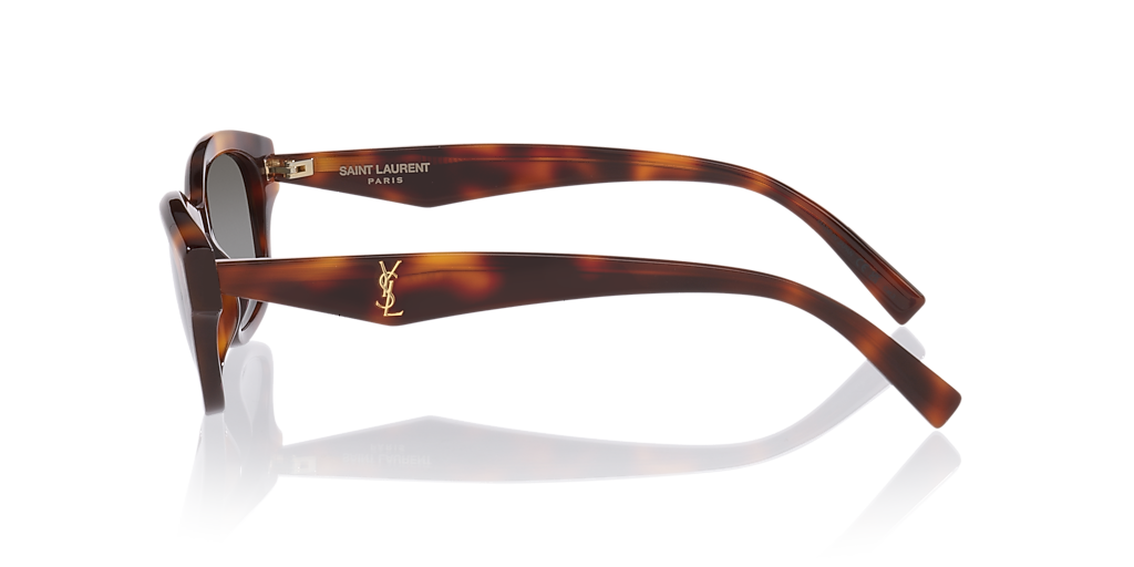 Saint Laurent Sl M172 M (53 - 20) with Grey lenses and Tortoise