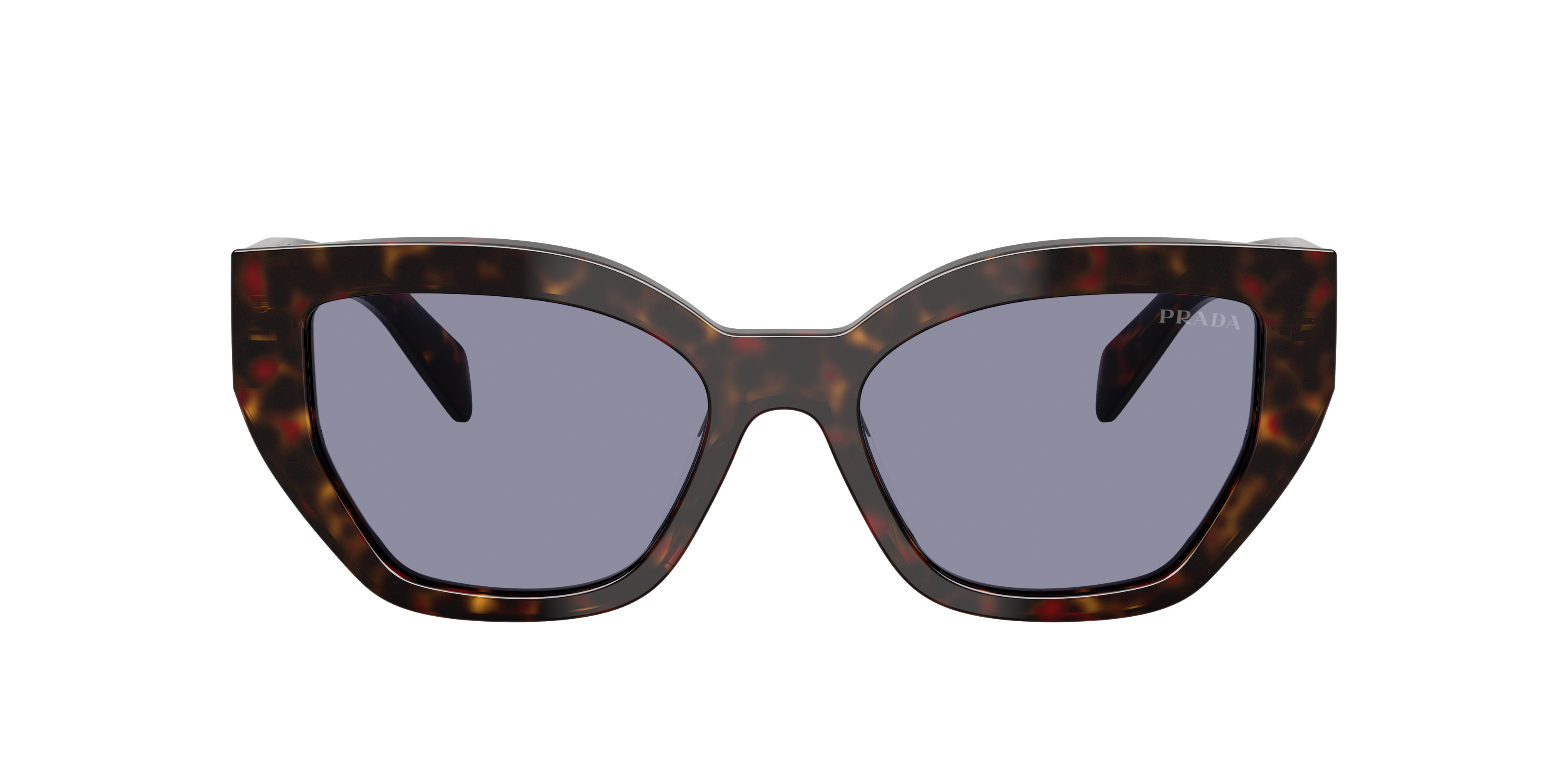Prada PR A09SF L (55 - 16) with Grey lenses and Tortoise frame