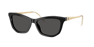 さら　ソイネショップ Swarovski SK6033 M (54 - 19) with Grey lenses and Black frame
