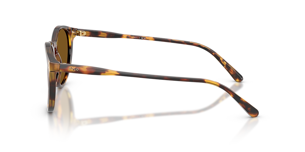 Polo Ralph Lauren PH4110 S (50 - 21) with Brown lenses and