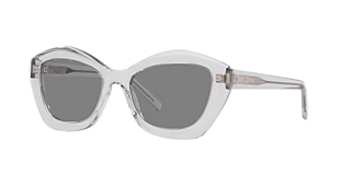 Saint Laurent SL 557 Shade XL (53 - 20) with Black lenses and