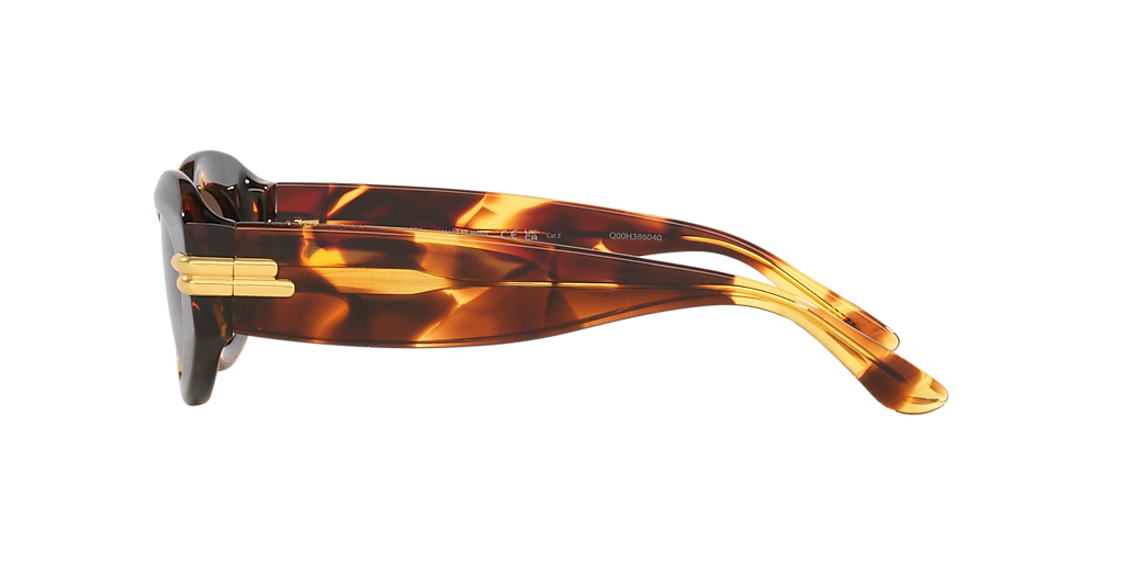 Bottega Veneta BV1322S M (51 - 21) with Brown lenses and
