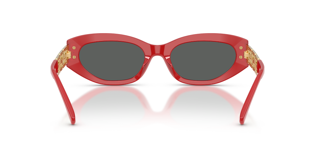 Versace VE4501F XL (54 - 19) with Grey lenses and Red frame  display picture 3