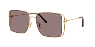 Coach HC8380U CL922 M (54 - 19) with Grey lenses and frame
