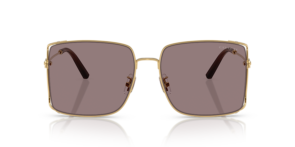 Coach HC7174D CW429 XL (59 - 17) with Violet lenses and Gold