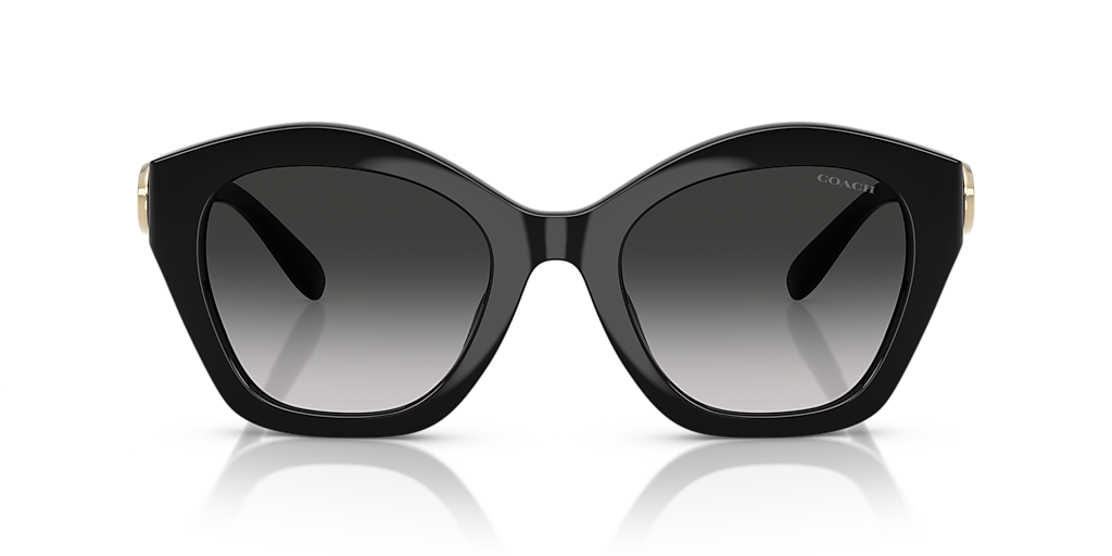 Coach CAD31 L (54 - 22) with Grey lenses and Black frame