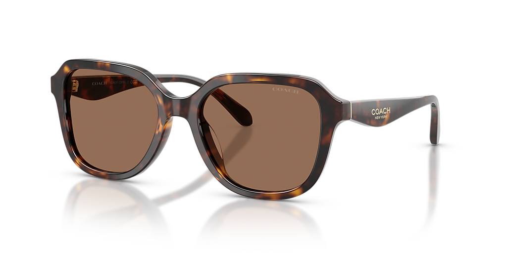 COACH サングラス CH583 ブラウン C Hardware Textured Temple Square Sunglasses | Eyewear | Coach