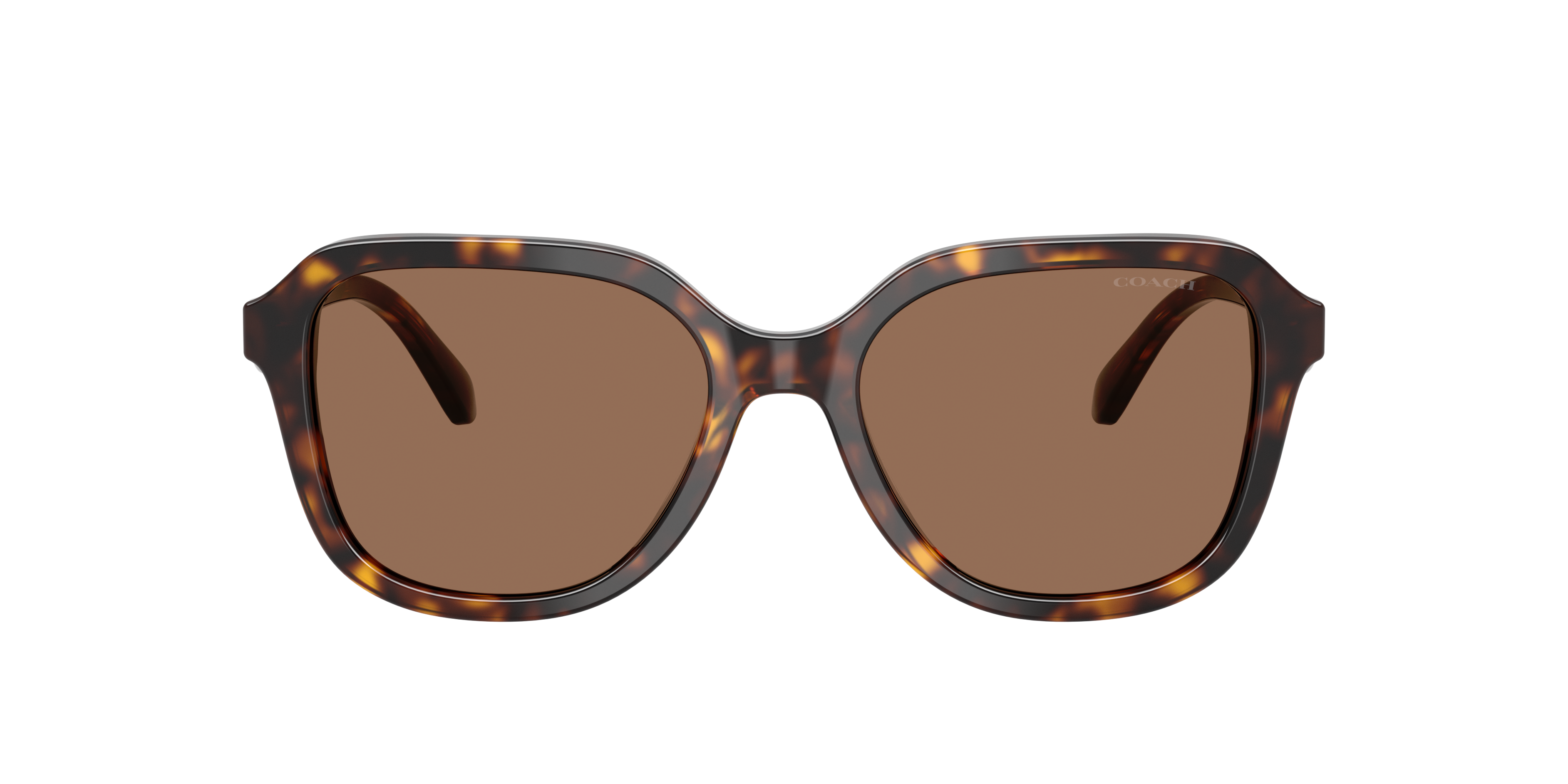 Coach HC8437F CBY89 L (56 - 17) with Brown lenses and Tortoise