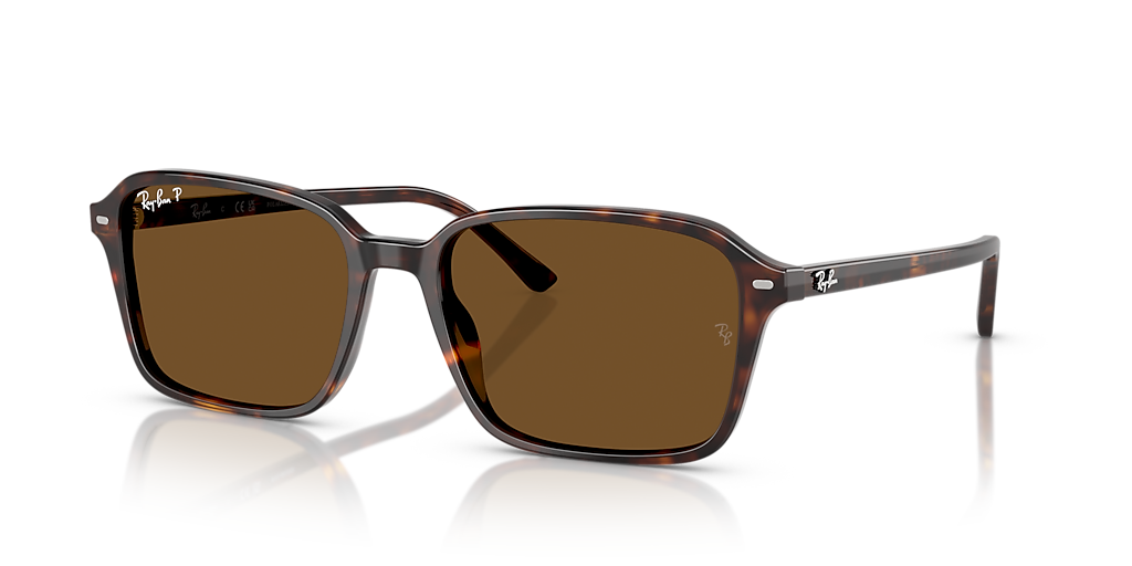 Ray-Ban Raimond L (56 - 18) with Brown lenses and Tortoise frame
