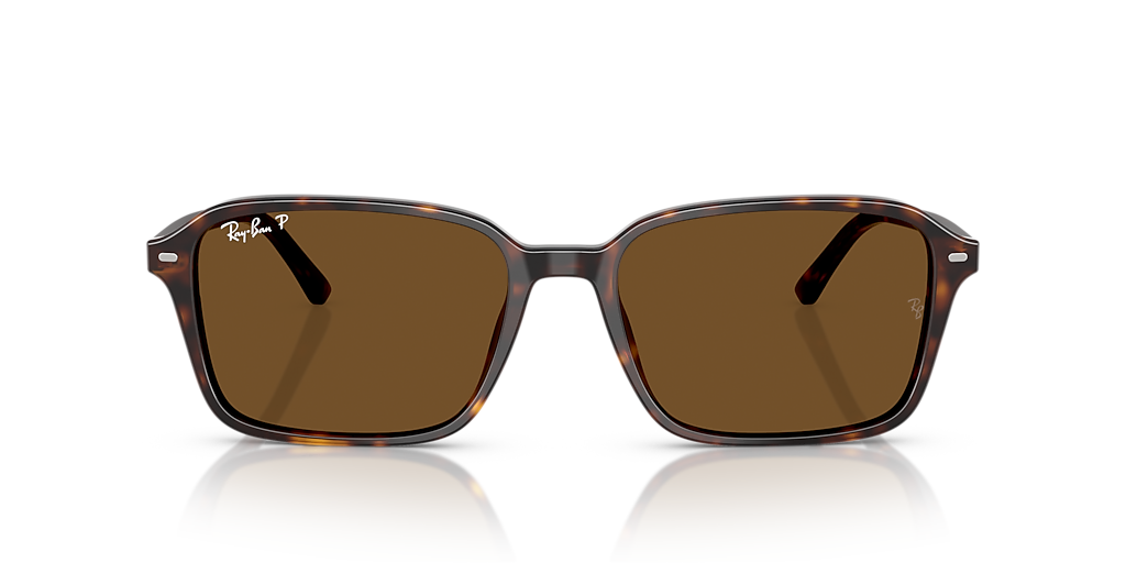 RAY-BAN RB2231F Raimond Havana - Unisex Sunglasses, B-15 Brown Lens
