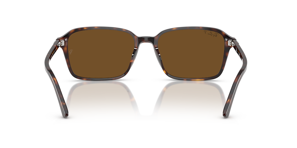 RAY-BAN RB2231F Raimond Havana - Unisex Sunglasses, B-15 Brown Lens