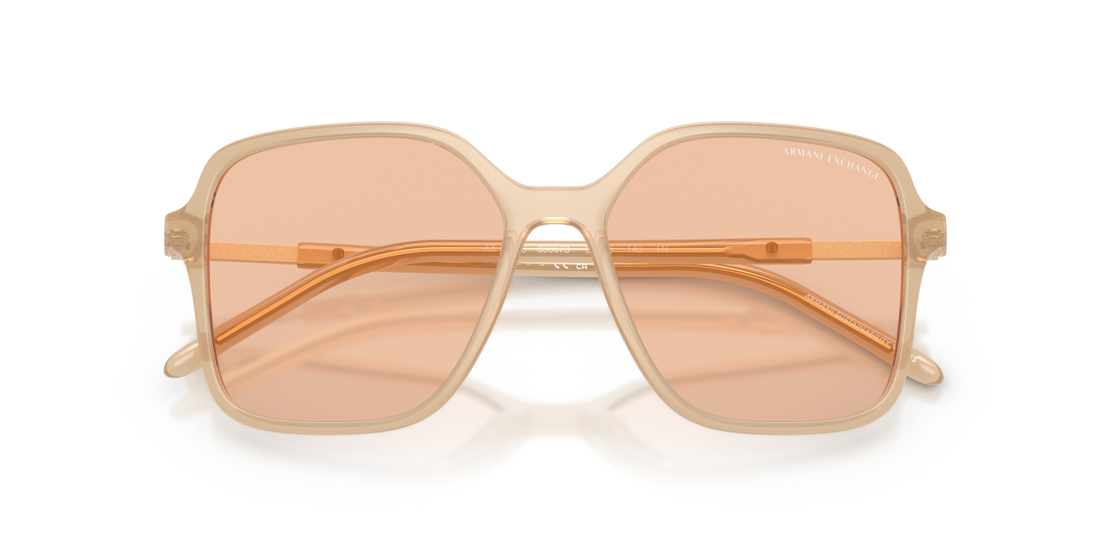 AX4163S