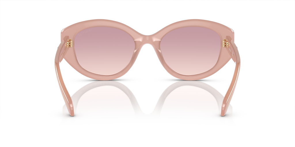 Swarovski SK6005 S (53 - 20) with Brown lenses and Pink frame