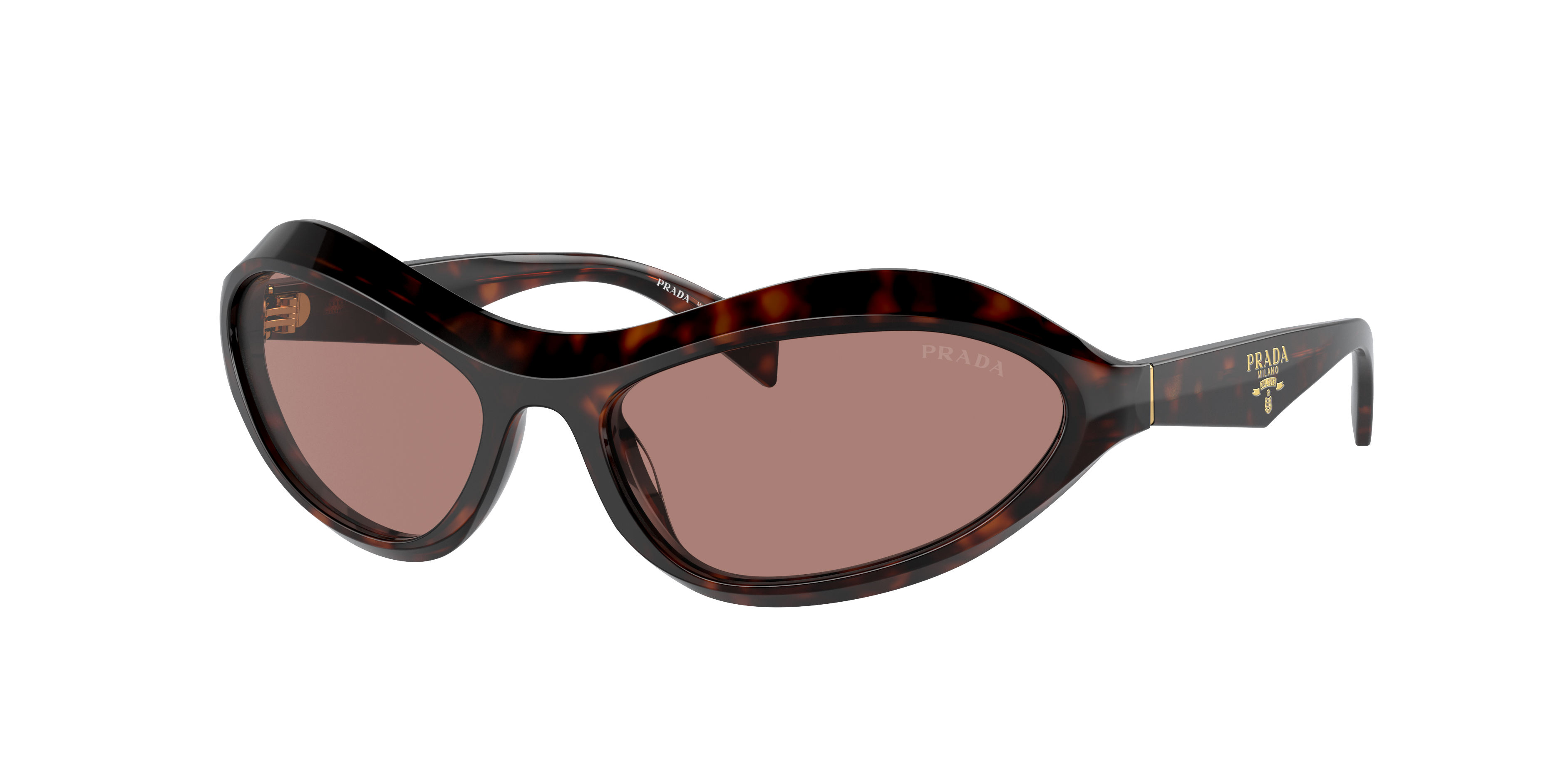 Prada PR A20S M (61 - 17) with Brown lenses and Tortoise frame