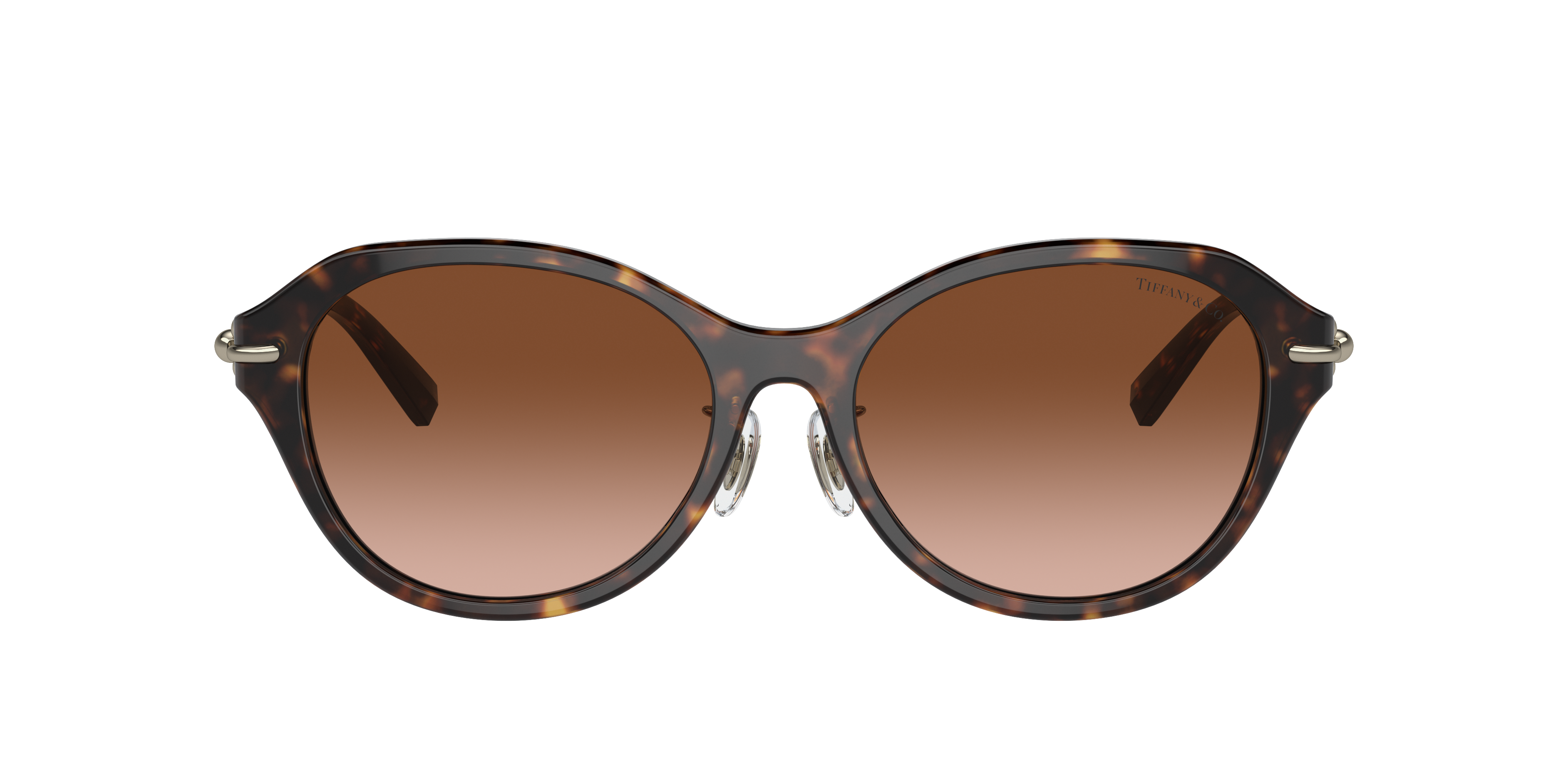 【新品】ティファニー サングラス （0TF4210D-82853C）サイズ54 Tiffany & Co. TF4210D M (54 - 17) with Brown lenses and