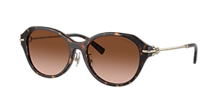 Tiffany & Co. TF3093D XXL (60 - 17) with Blue lenses and Gold