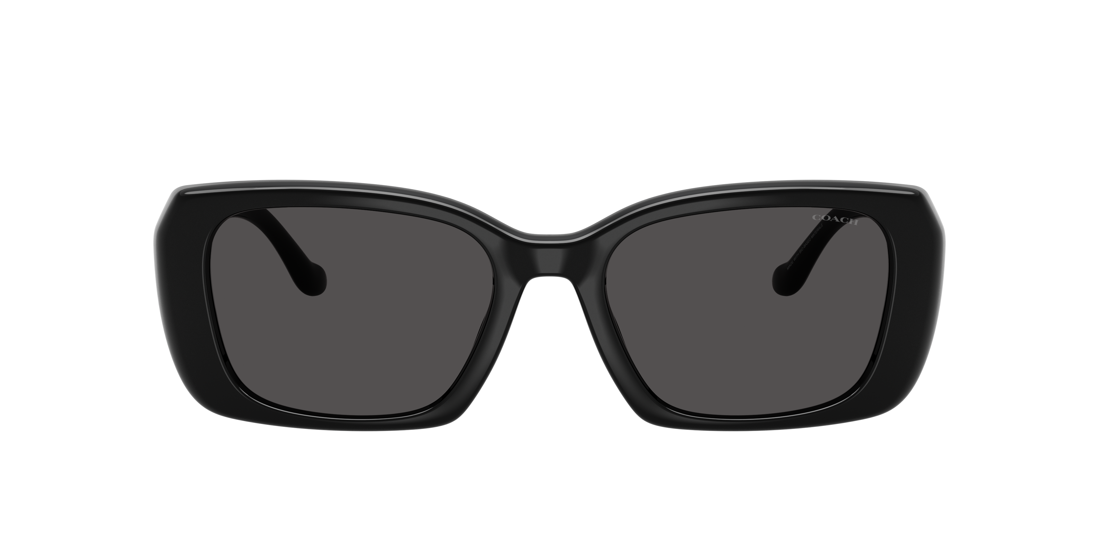 Coach Woman Sunglass Hc8435u Cby82 In Black