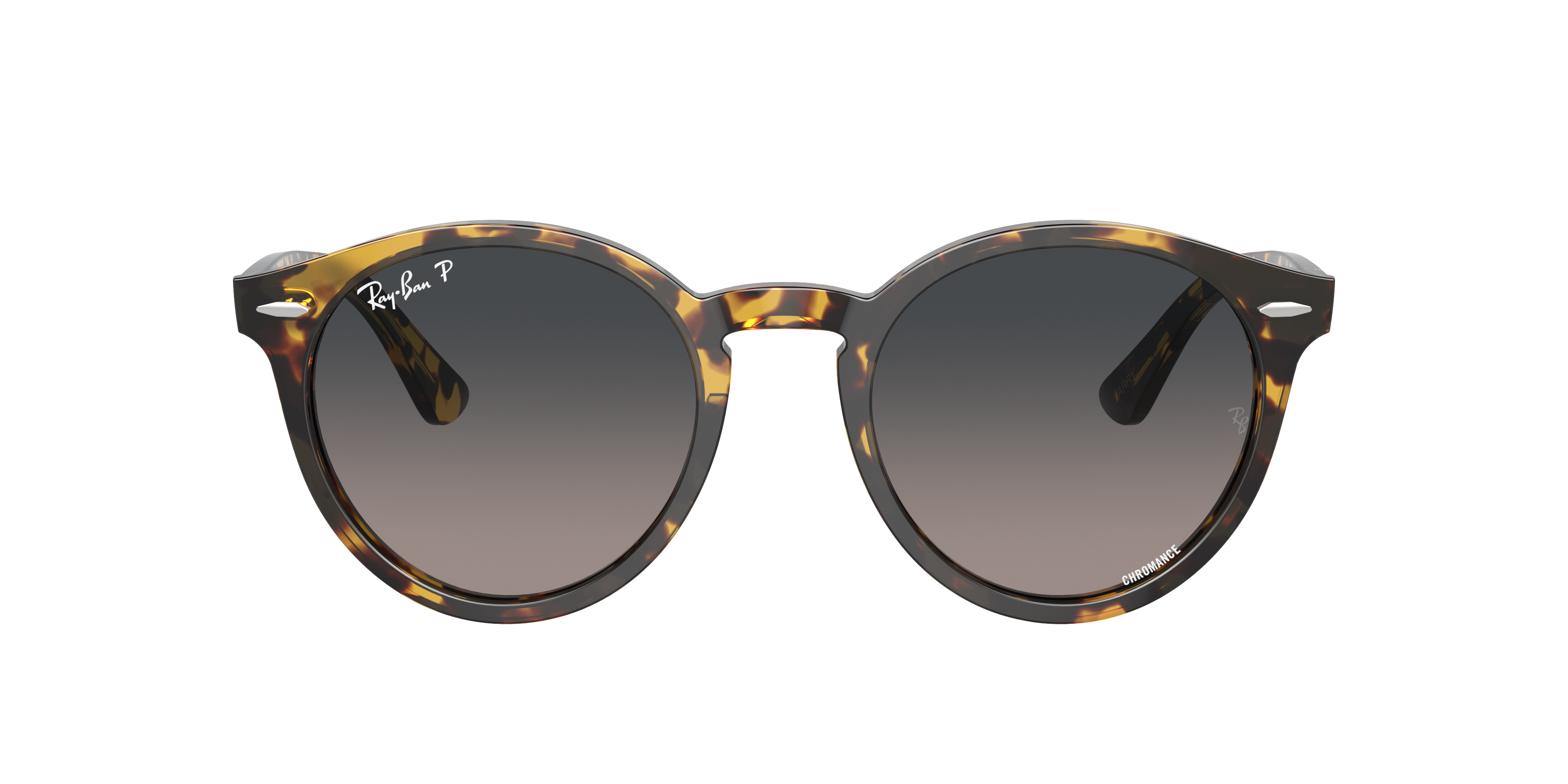 レイバン　Rayban サングラス Ray-Ban RB7680S Larry S (49 - 21) with Grey lenses and
