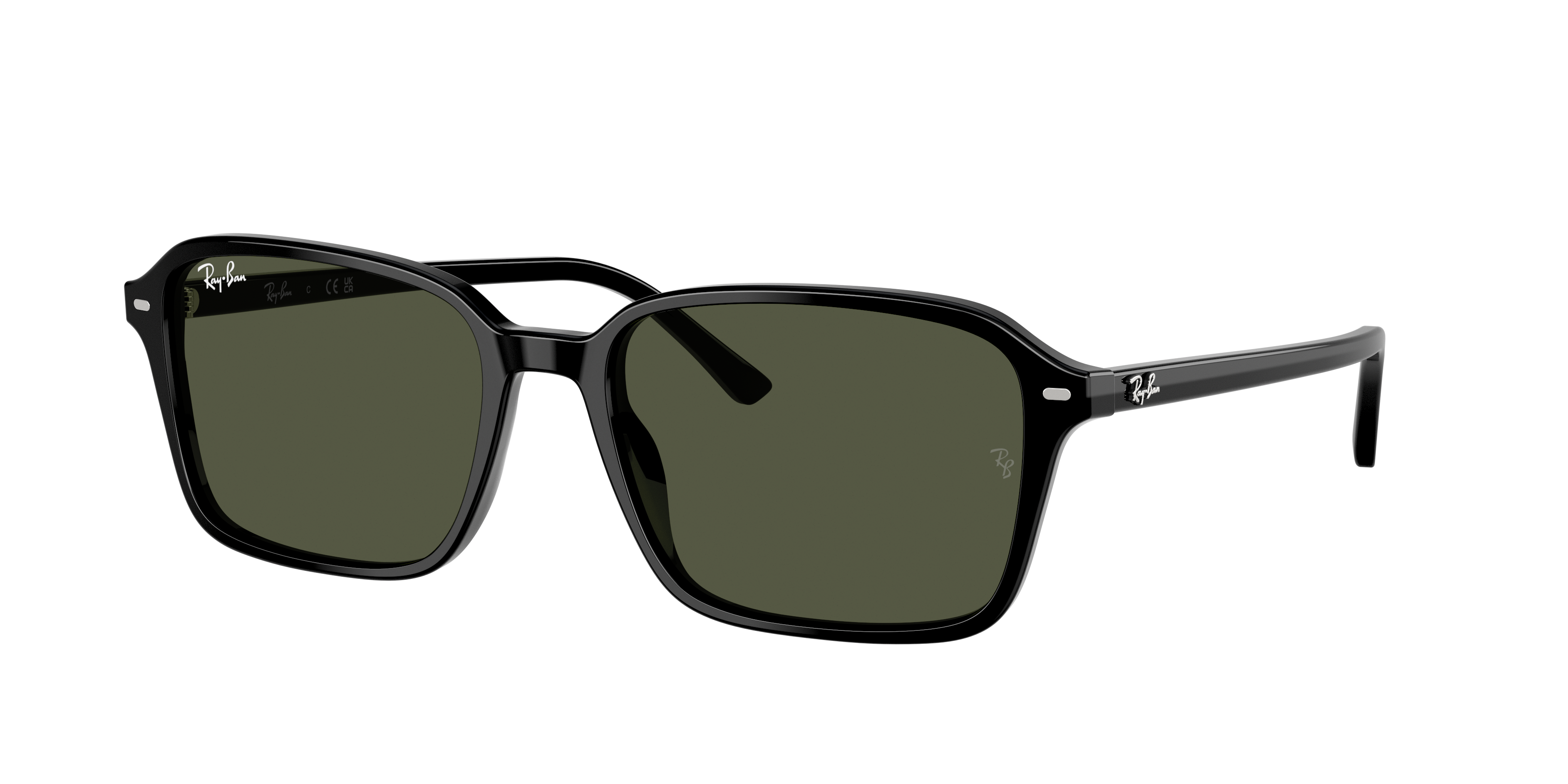 Ray Ban Ray In G-15 Green