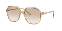 スワロフスキー　フーシャ　3袋分 Swarovski SK6003 XL (57 - 16) with Grey lenses and Brown