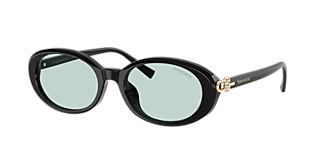 Tiffany & Co. TF4205U Steve Mcqueen S (56 - 14) with Grey lenses