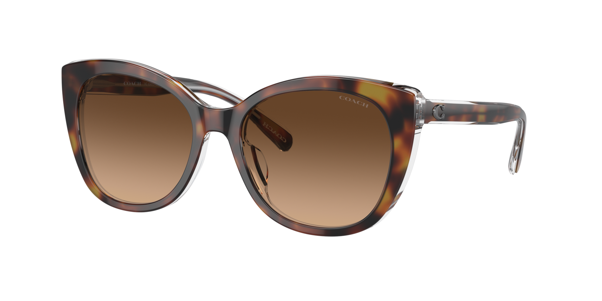 Coach Women\'s Black Oversized Brown lenses Size 59 EUC With Case Coach HC6224U 5781 Black on Transparent Powder Brown  main image 3