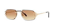 CARTIER CT0468S Gold - Man Luxury Sunglasses, Brown Lens