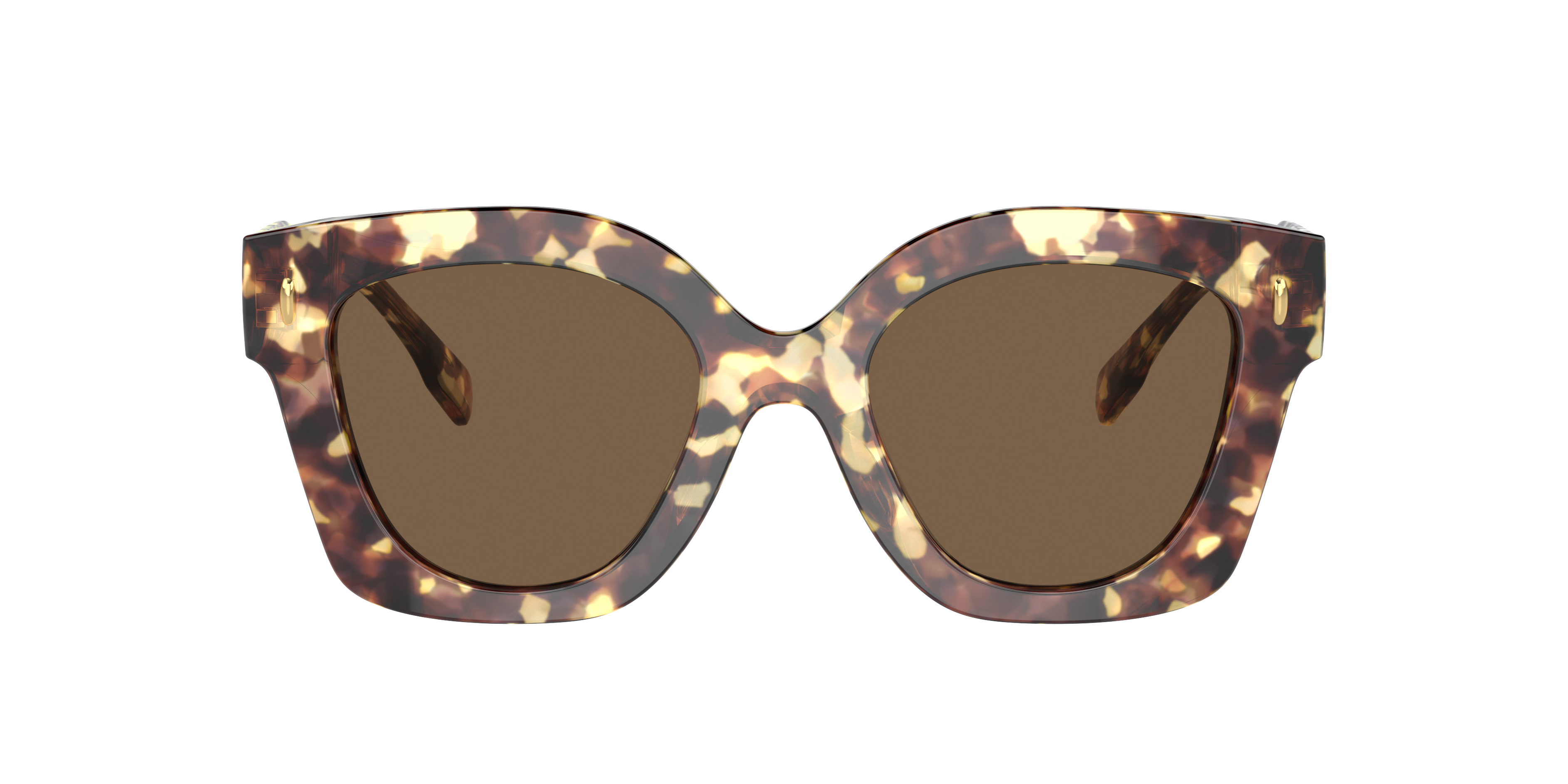 Tory Burch Woman Sunglass Ty7201u In Brown