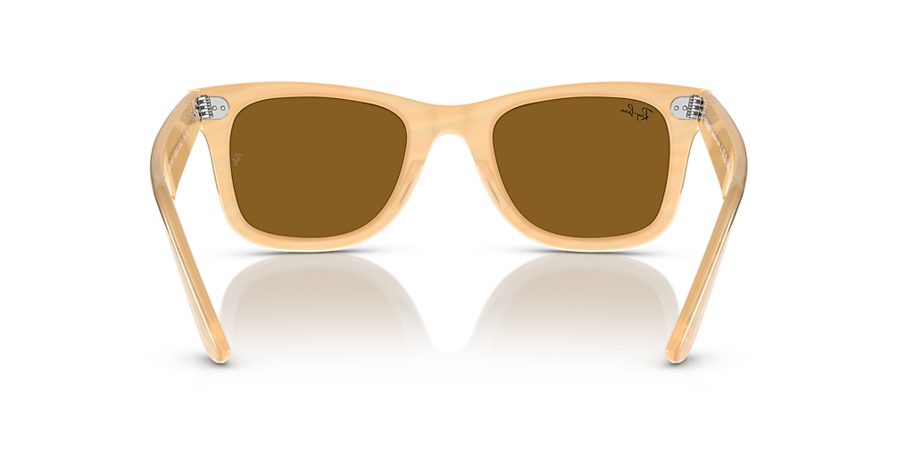 Ray-Ban Original Wayfarer Change L (52 - 22) with Brown lenses and
