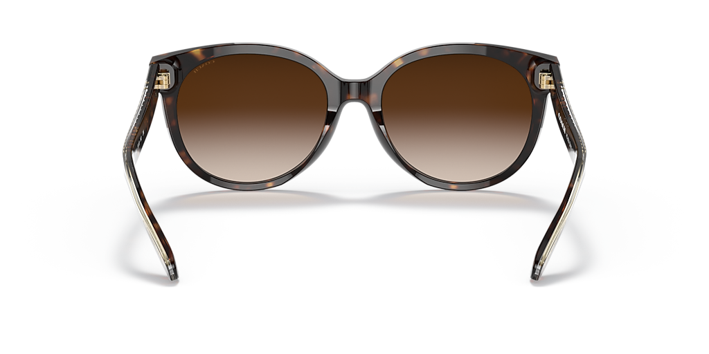 Coach HC8321 C6181 M (55 - 18) with Brown lenses and Tortoise