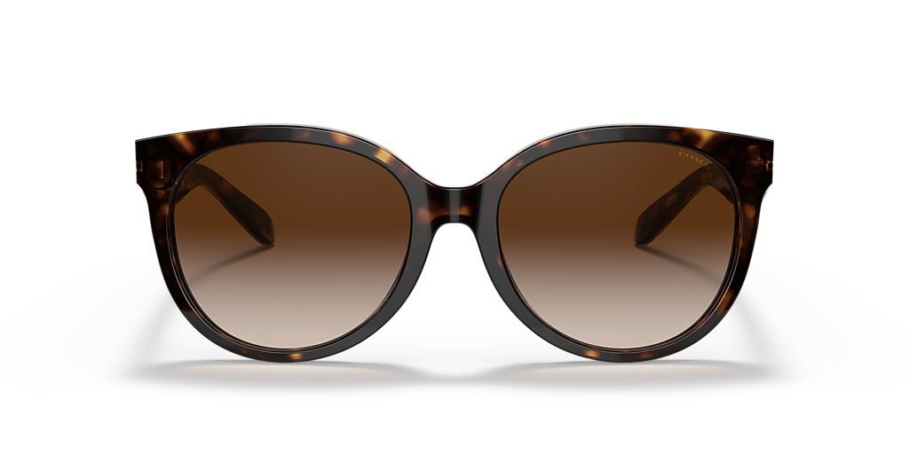 Coach HC8321 C6181 M (55 - 18) with Brown lenses and  display picture 1