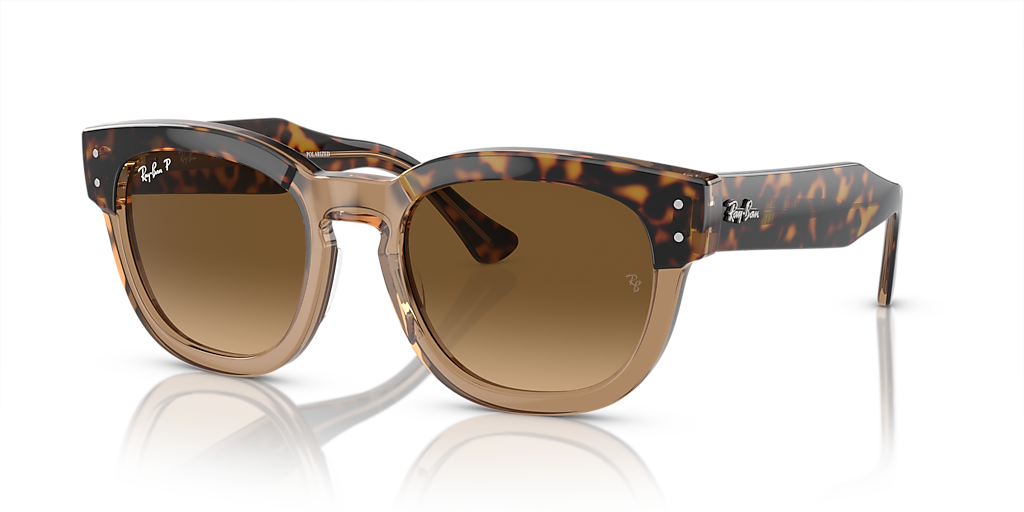 Ray-Ban サングラスレイバン　RB-0298SF MEGA HAWKEYE Ray-Ban RB0298SF Mega Hawkeye L (53 - 21) with Brown lenses and