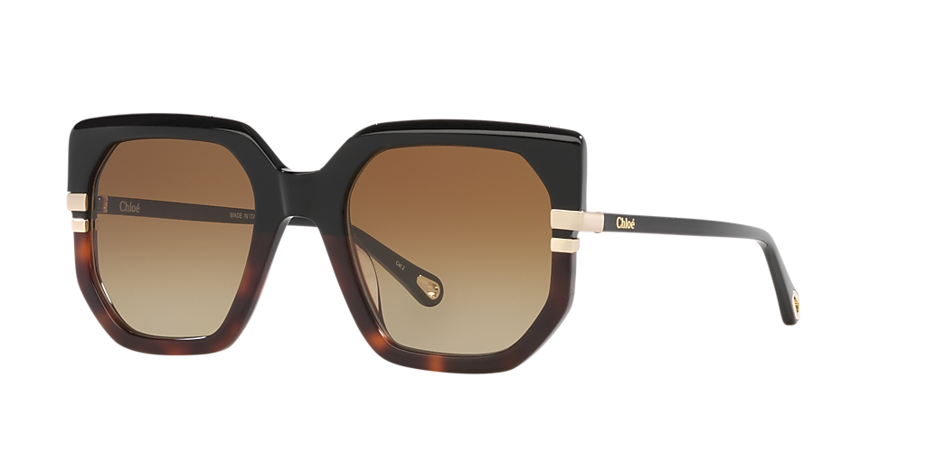 Chloé CH0240S L (53 - 23) with Brown lenses and Black frame
