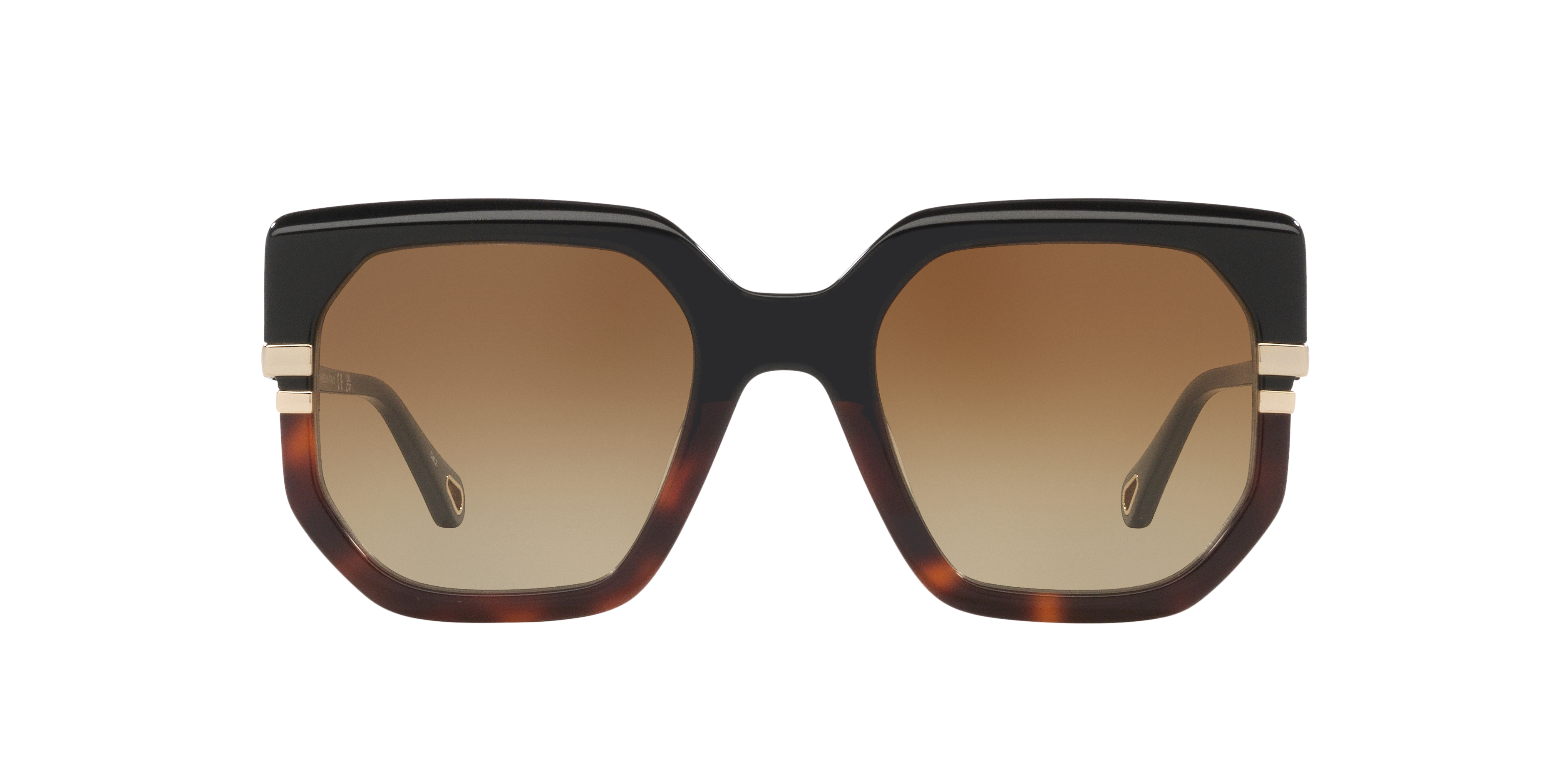 Chloé Womens Ch0240s Square-frame Acetate Sunglasses Black In Brown