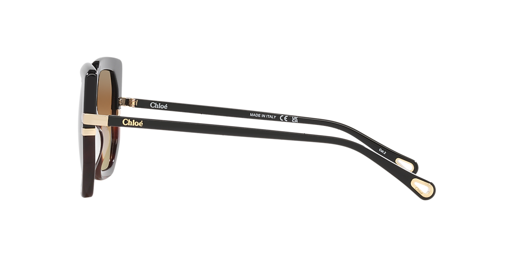 Chloé CH0240S L (53 - 23) with Brown lenses and Black frame