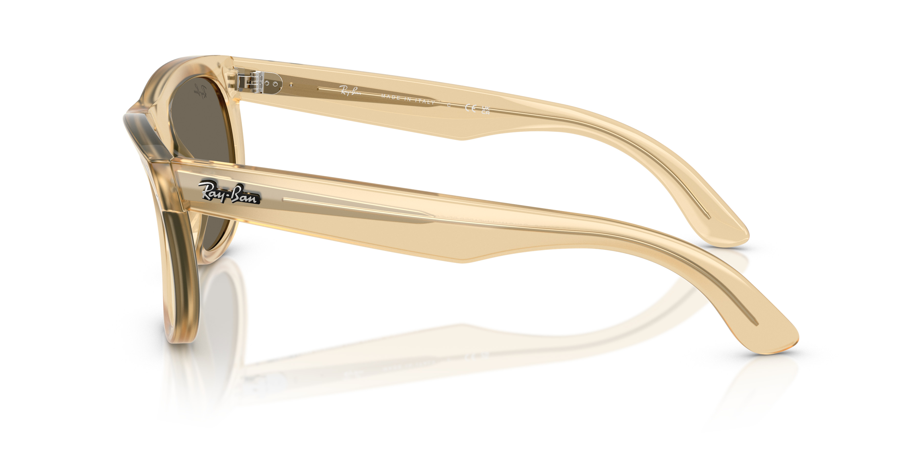 RBR0502S Wayfarer Reverse