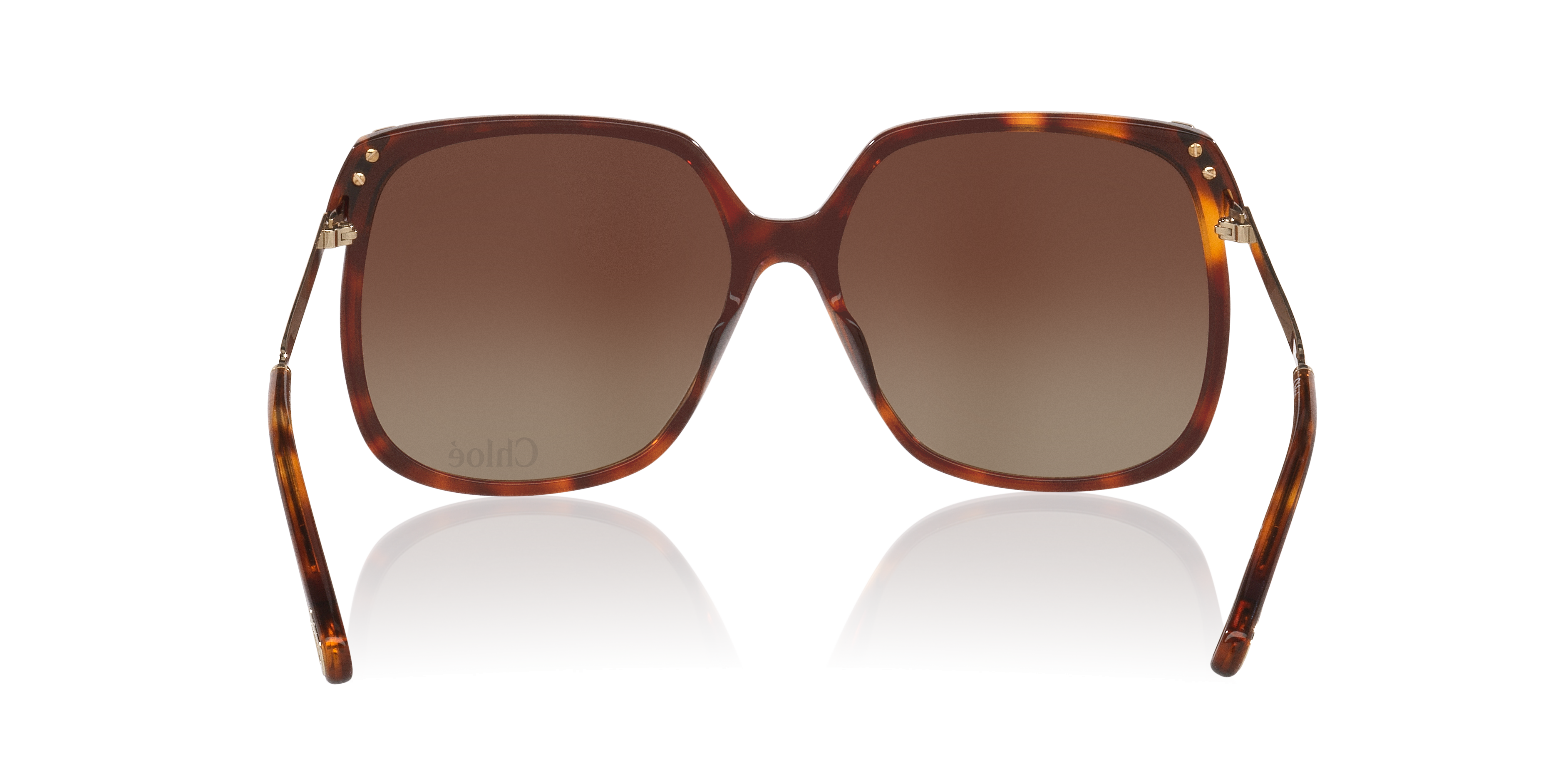 Chloé Ch0286s Round Acetate Sunglasses In Brown