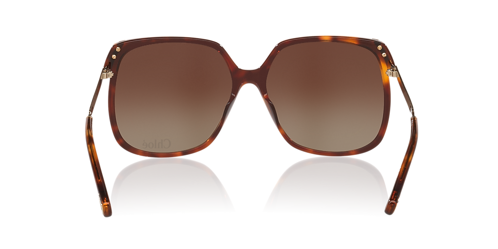 Chloé CH0286S XL (60 - 15) with Brown lenses and Tortoise frame