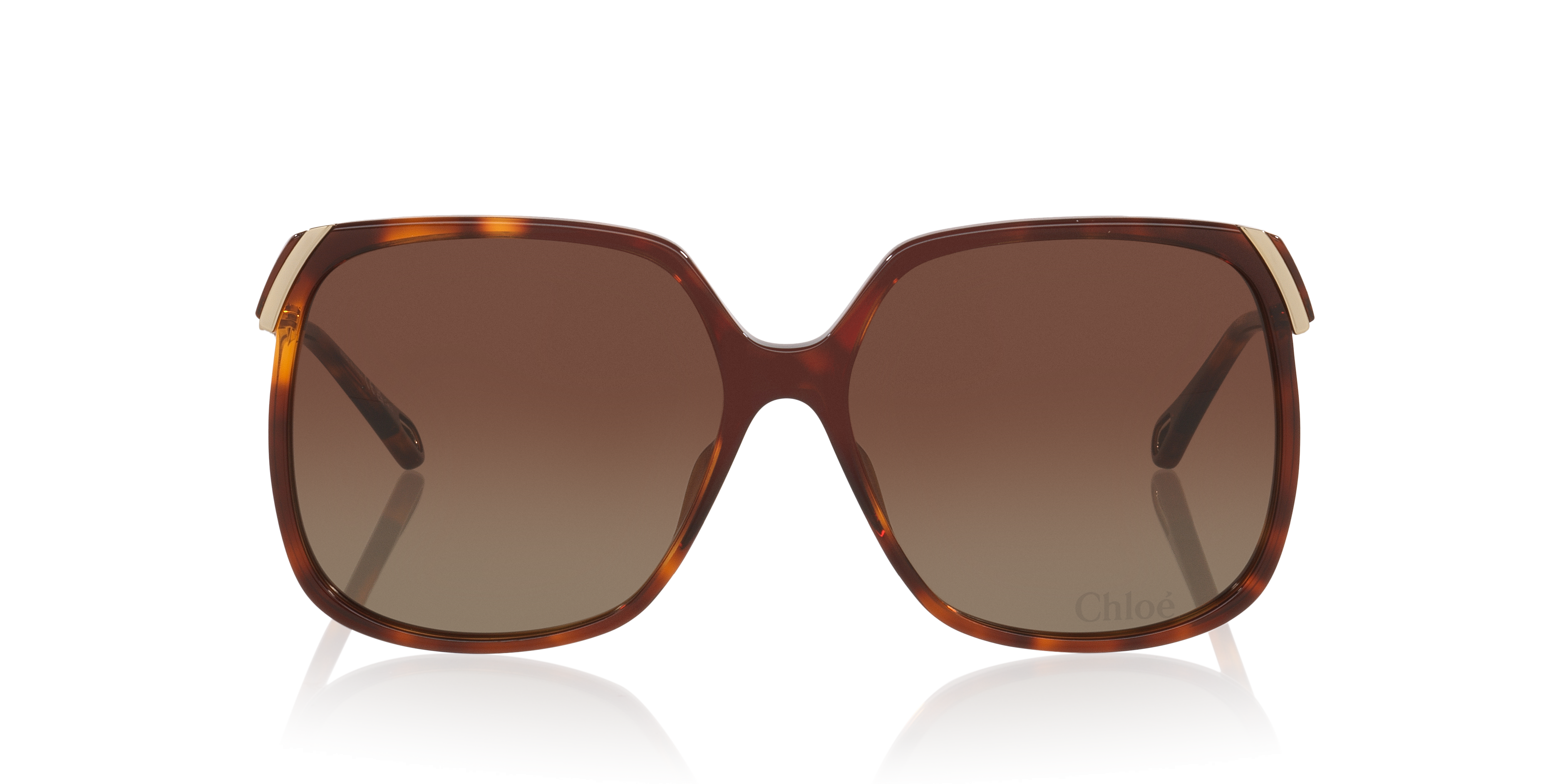 Chloé Ch0286s Round Acetate Sunglasses In Brown