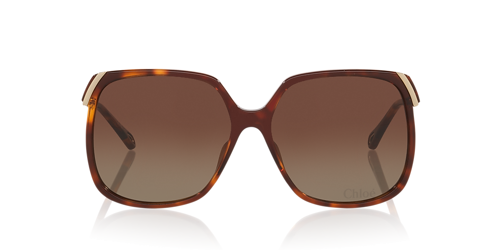 Chloé CH0286S XL (60 - 15) with Brown lenses and Tortoise  display picture 1