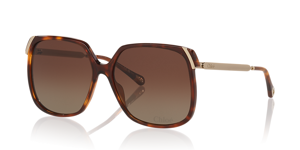 Chloé CH0286S XL (60 - 15) with Brown lenses and Tortoise frame