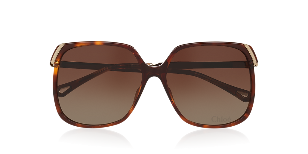 Chloé CH0286S XL (60 - 15) with Brown lenses and Tortoise  display picture 1
