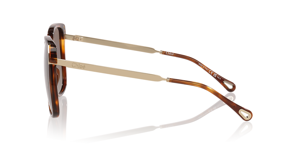 Chloé CH0286S XL (60 - 15) with Brown lenses and Tortoise frame