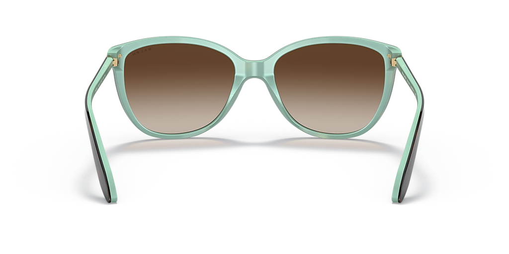 Ralph RA5160 L (57 - 17) with Brown lenses and Tortoise frame