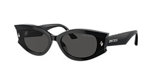 Jimmy Choo JC5038BU S (54 - 17) with Brown lenses and Tortoise