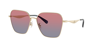 Coach HC7135 C7999 L (54 - 20) with Violet lenses and Gold